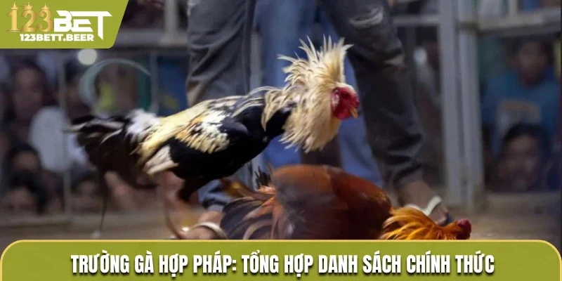 Trường gà hợp pháp